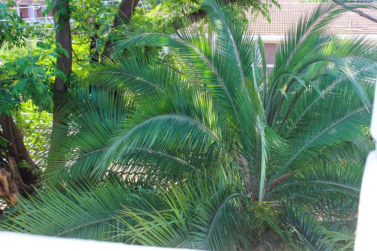Lolo'S 1Bed Apt-Best Location-2Balconies Harare Exteriér fotografie